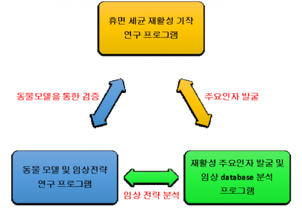 6.-서울대-항생제-내성-이미지-604x420.png